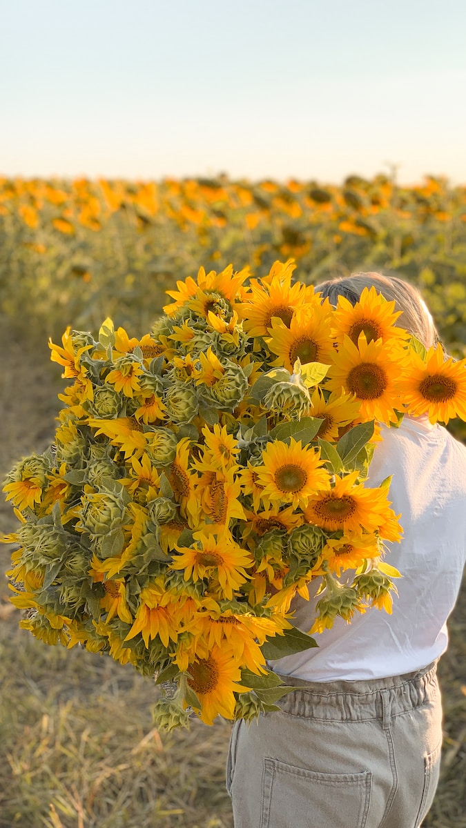 yellow and white flowers in tilt shift lens