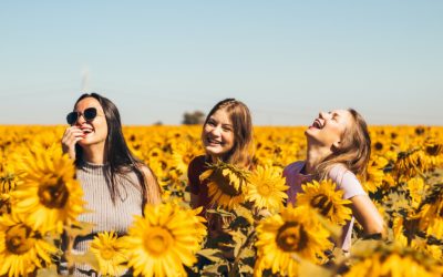 HUILE DE TOURNESOL: UN CONCENTRÉ DE SOLEIL ET DE BIENFAITS